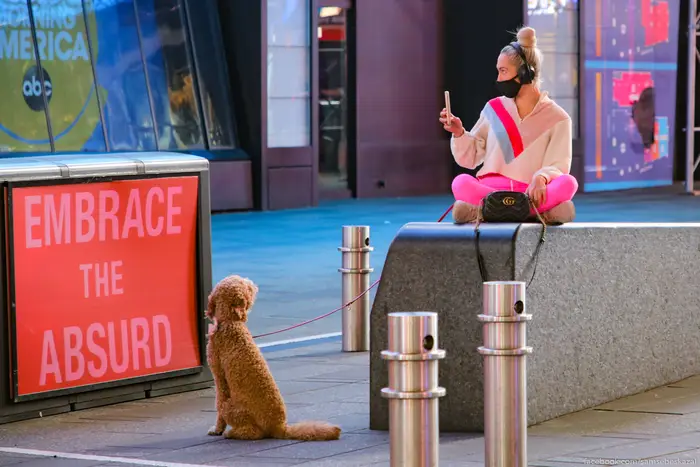 A photo of a woman and dog next to a sign that says "embrace the absurd"